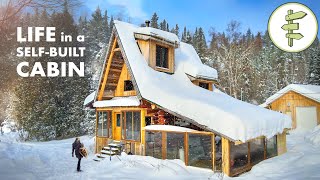 Couple&#039;s Cozy Log Cabin Home Built from Scratch with 40 Trees from the Land